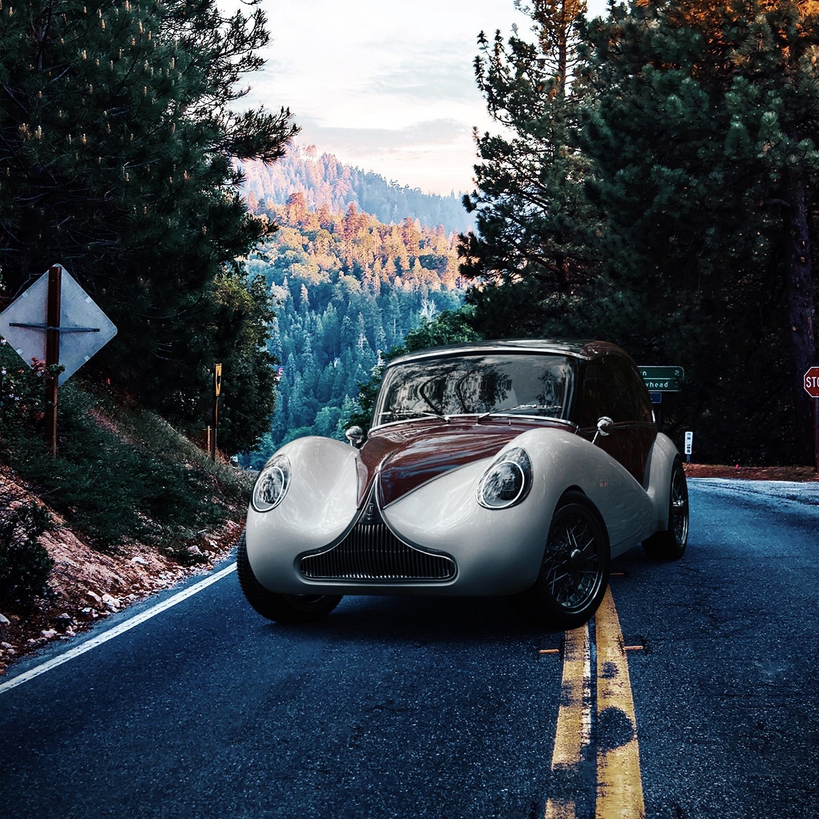 Model O1 in forest